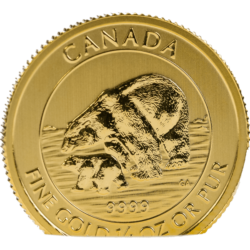 $10 Gold Polar Bear and Cub coin