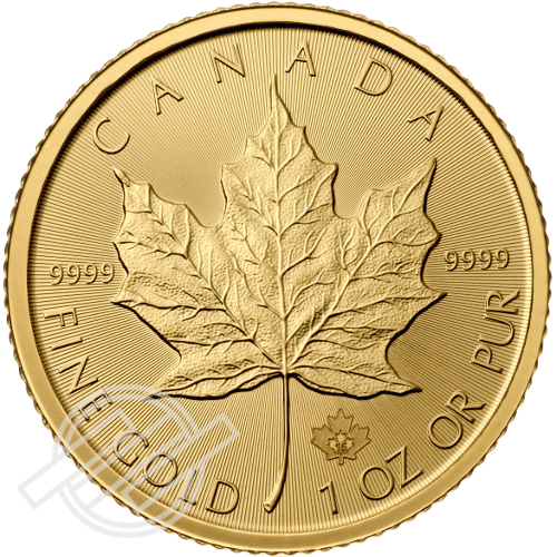 Gold_Maple_Leaf_front