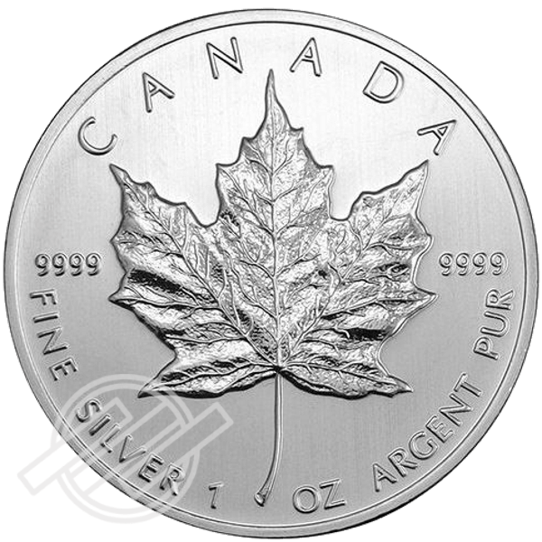 Silver_Maple_Leaf_front