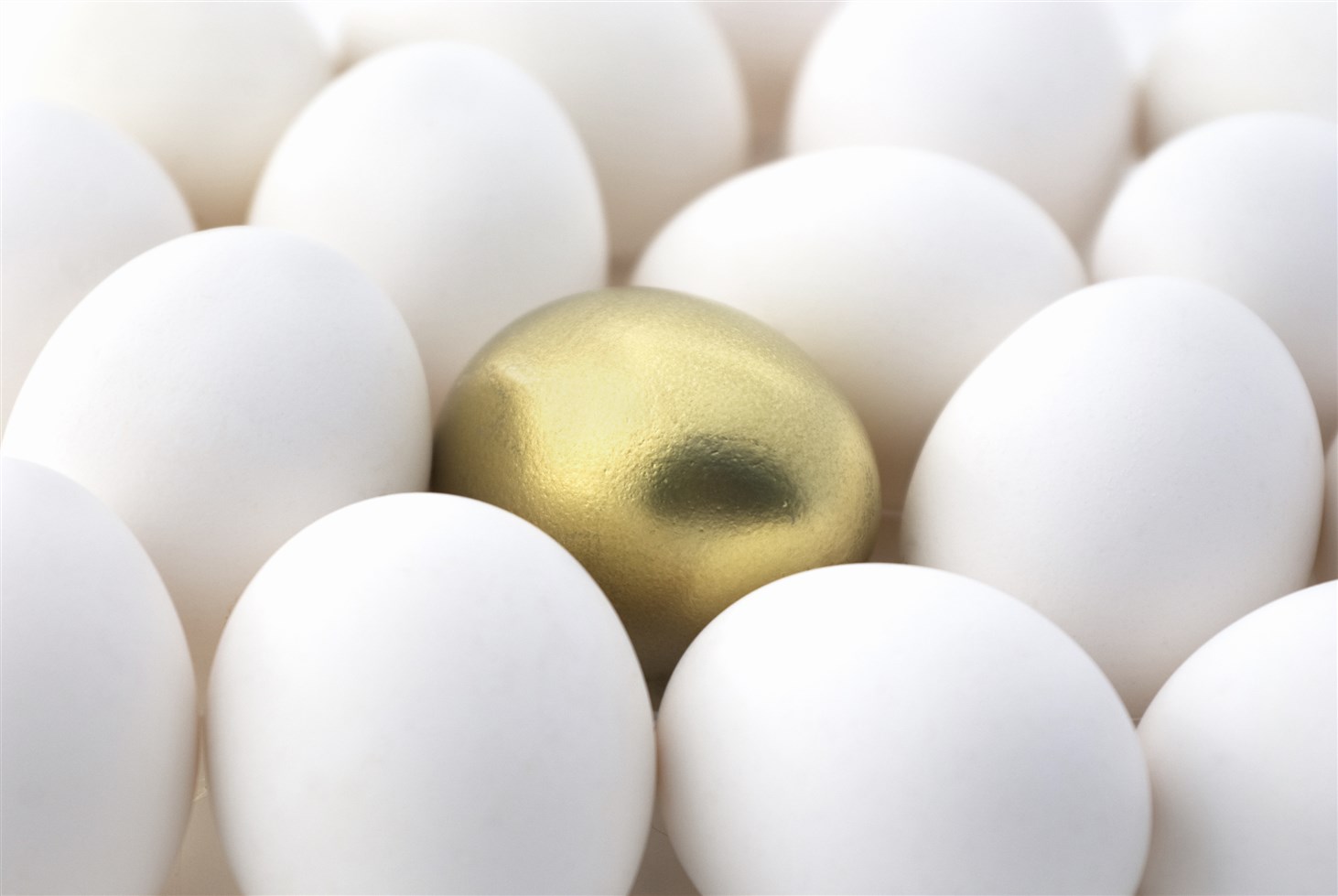 Gold Egg